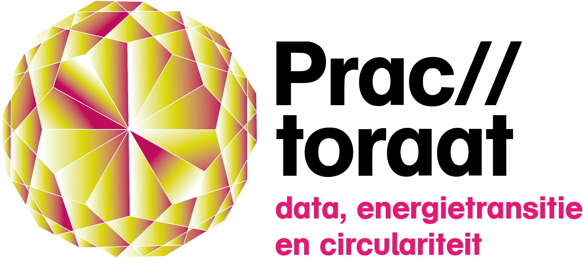 Logo practoraat data, energietransitie en circulariteit